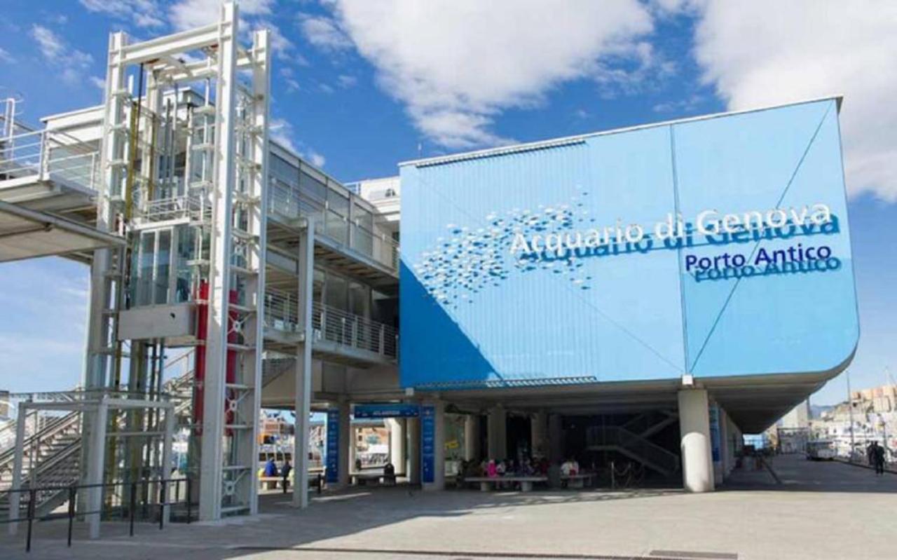 Apt Aquarium Daire Cenova Dış mekan fotoğraf